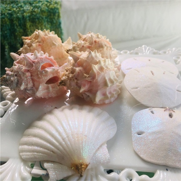 NEW! 🎄Pink White Seashell Christmas Tree Ornaments S/8 - Picture 2 of 7